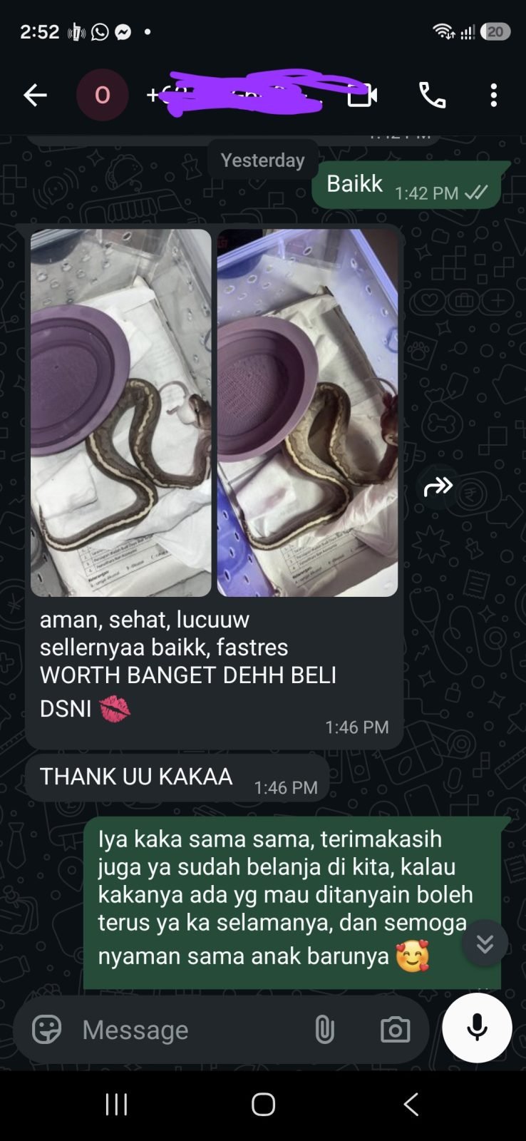 Testimoni pembeli Bamboo Cinnamon