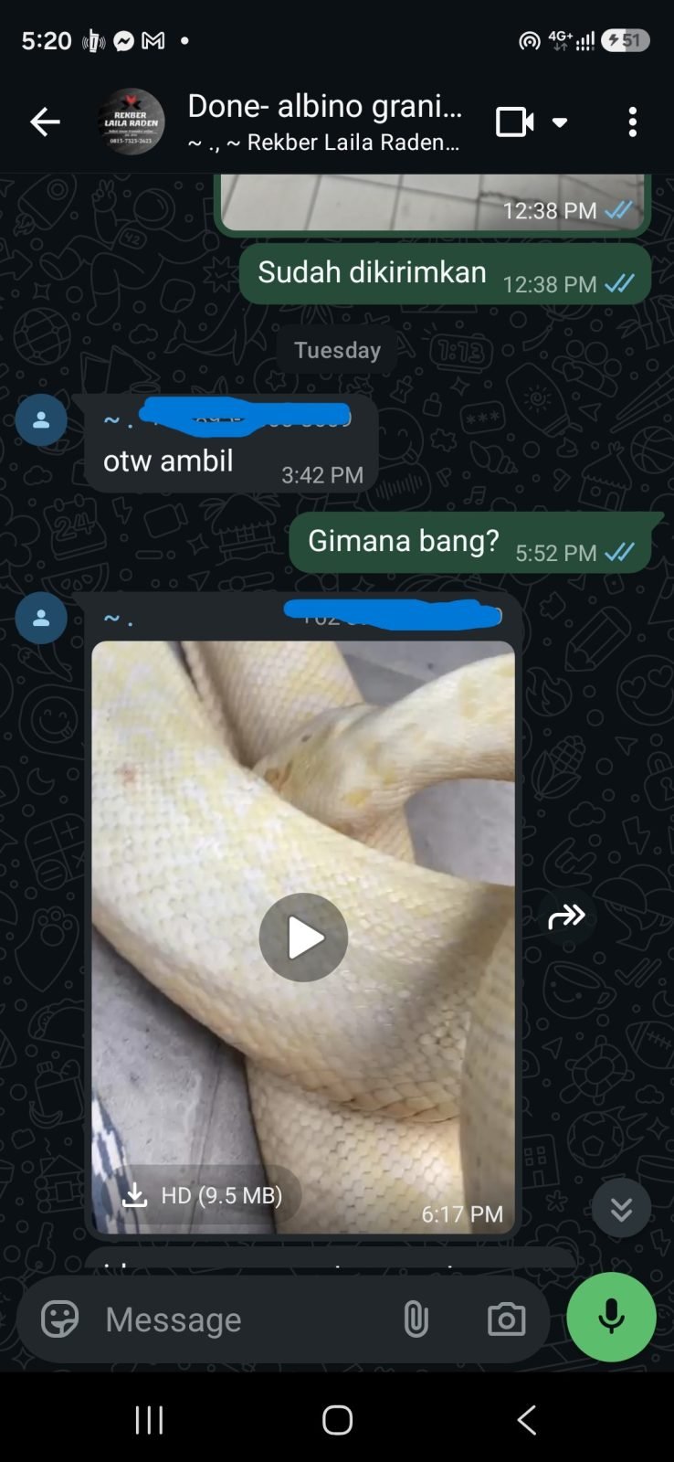 Testimoni pembeli Albino Granite Prooven